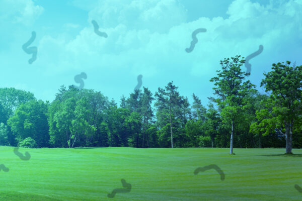 Understanding Eye Floaters: What’s Normal and When to See a Specialist