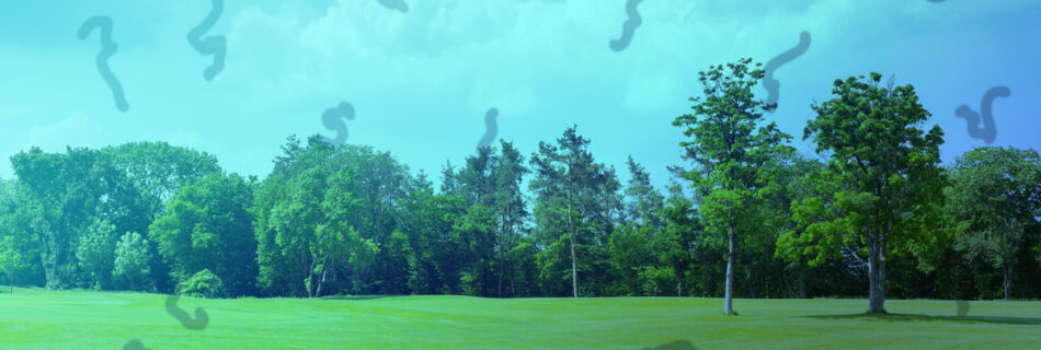 Understanding Eye Floaters: What’s Normal and When to See a Specialist