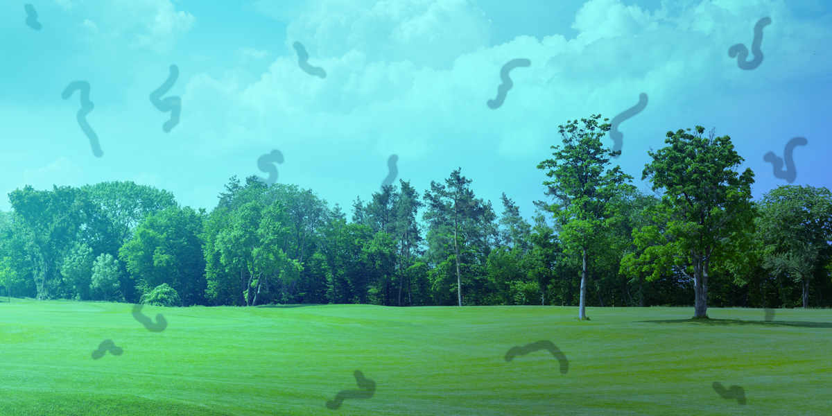 Understanding Eye Floaters: What’s Normal and When to See a Specialist